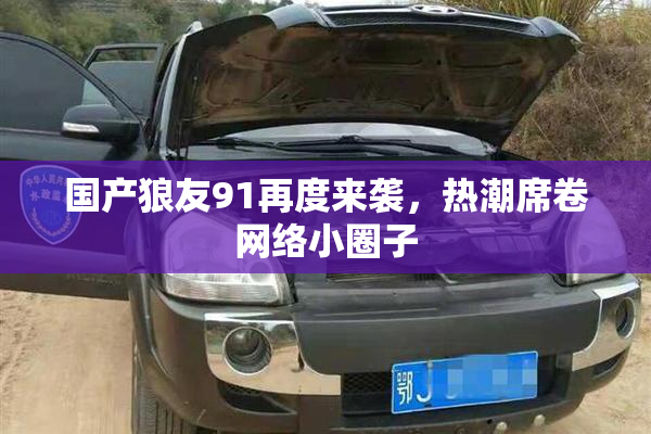 国产狼友91再度来袭，热潮席卷网络小圈子