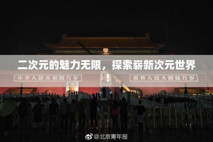 二次元的魅力无限，探索崭新次元世界！