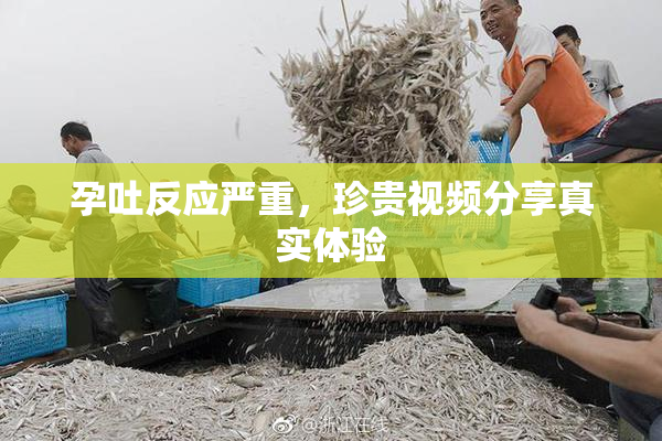 孕吐反应严重，珍贵视频分享真实体验