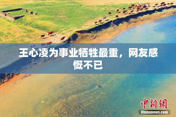 王心凌为事业牺牲最重，网友感慨不已