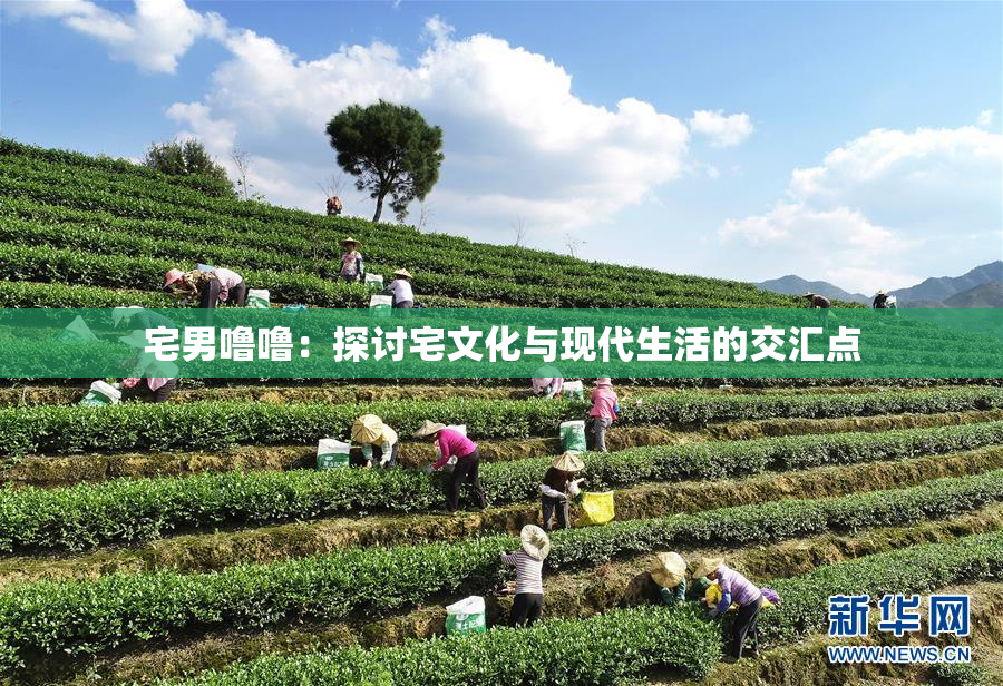宅男噜噜：探讨宅文化与现代生活的交汇点