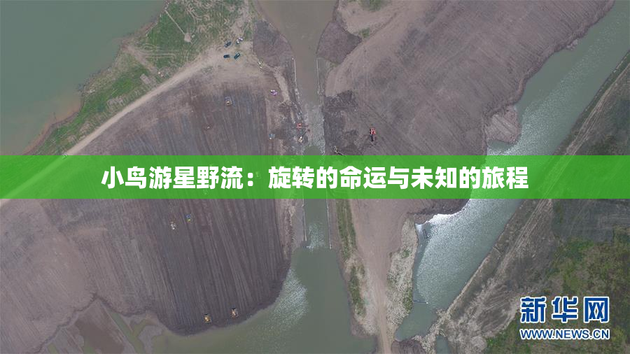 小鸟游星野流：旋转的命运与未知的旅程