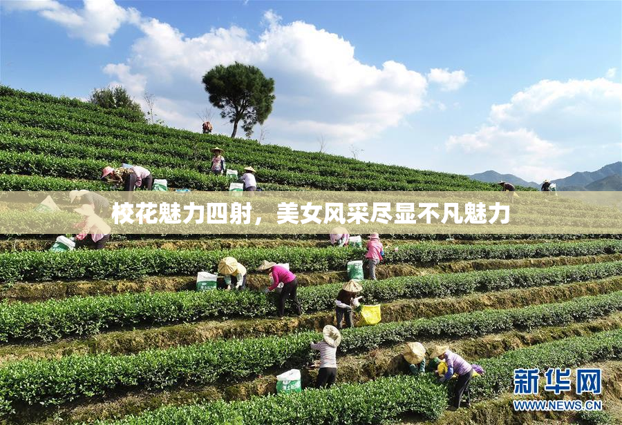 校花魅力四射，美女风采尽显不凡魅力