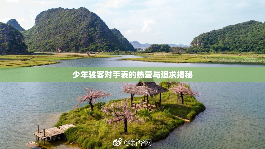 少年骇客对手表的热爱与追求揭秘