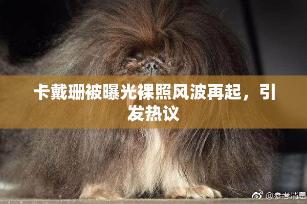 卡戴珊被曝光裸照风波再起，引发热议
