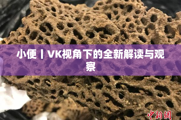 小便丨VK视角下的全新解读与观察