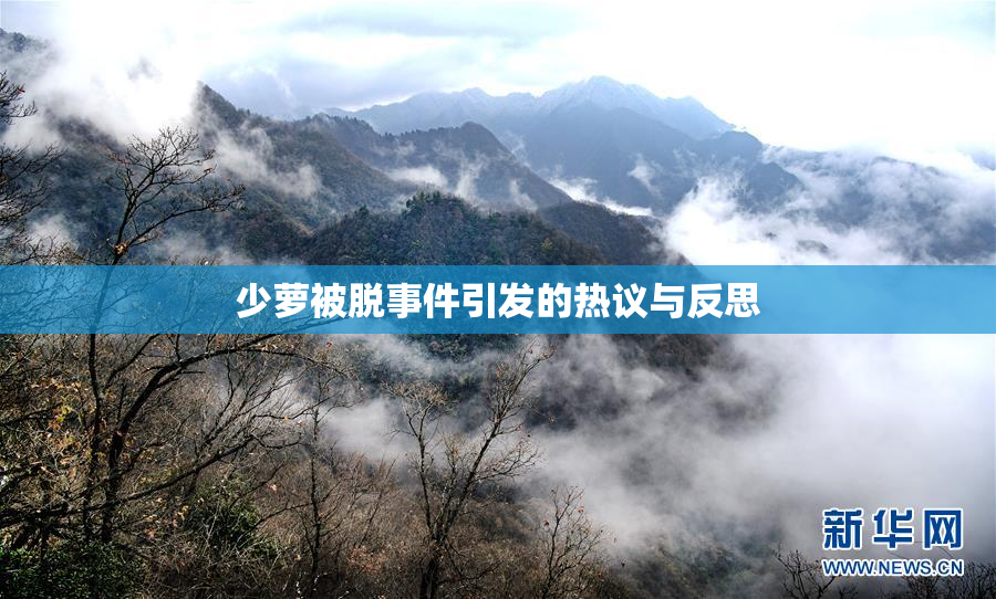 少萝被脱事件引发的热议与反思