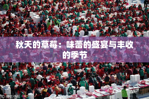 秋天的草莓：味蕾的盛宴与丰收的季节