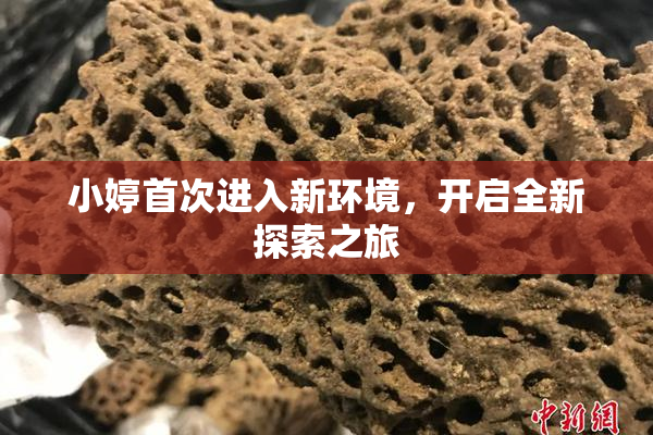 小婷首次进入新环境，开启全新探索之旅