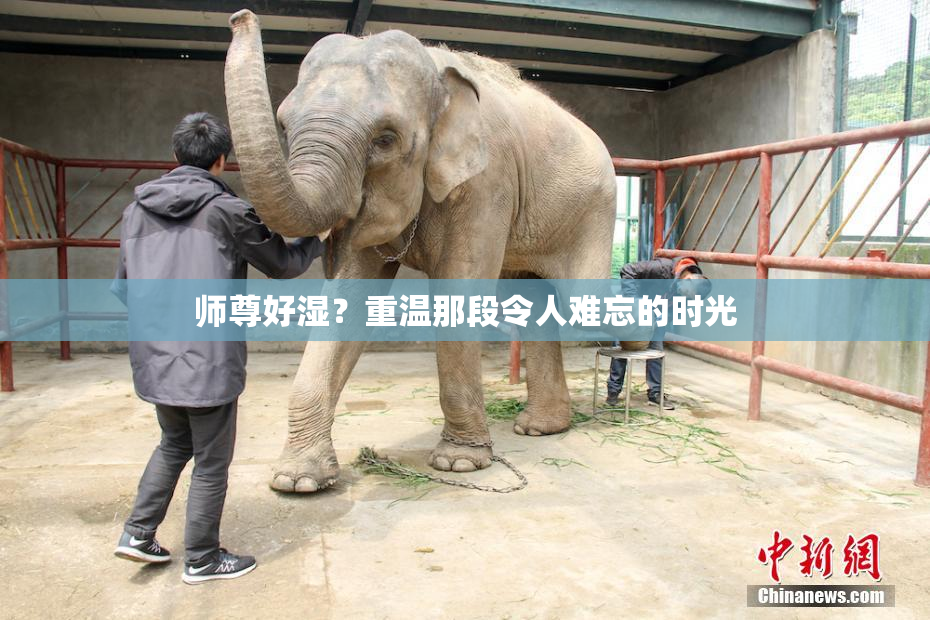 师尊好湿？重温那段令人难忘的时光