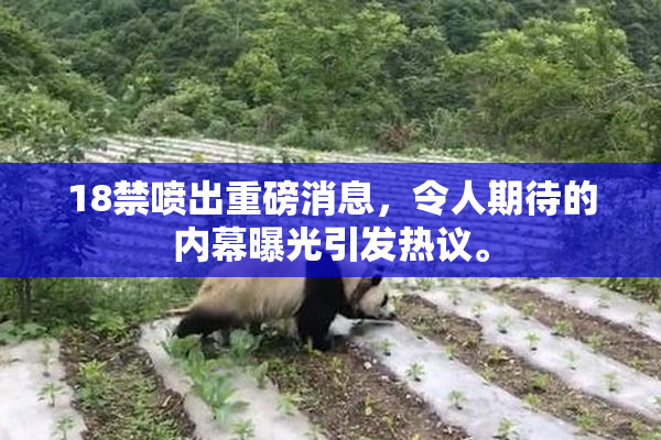 18禁喷出重磅消息，令人期待的内幕曝光引发热议。