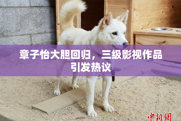 章子怡大胆回归，三级影视作品引发热议