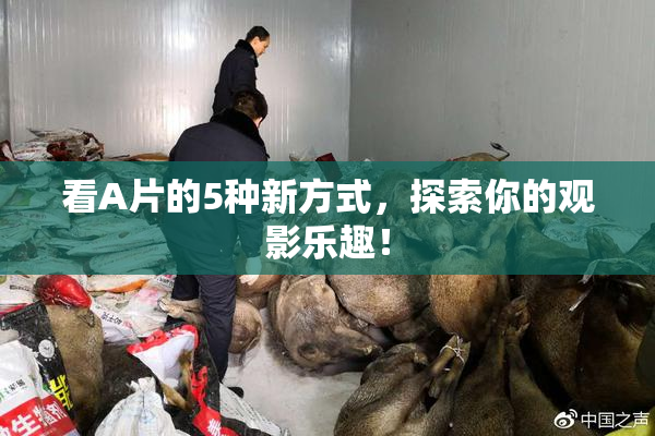 看A片的5种新方式，探索你的观影乐趣！