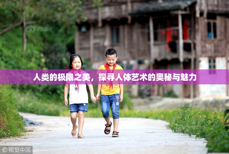 人类的极限之美，探寻人体艺术的奥秘与魅力