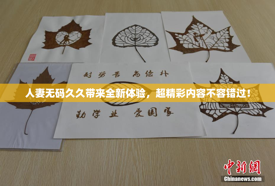 人妻无码久久带来全新体验，超精彩内容不容错过！