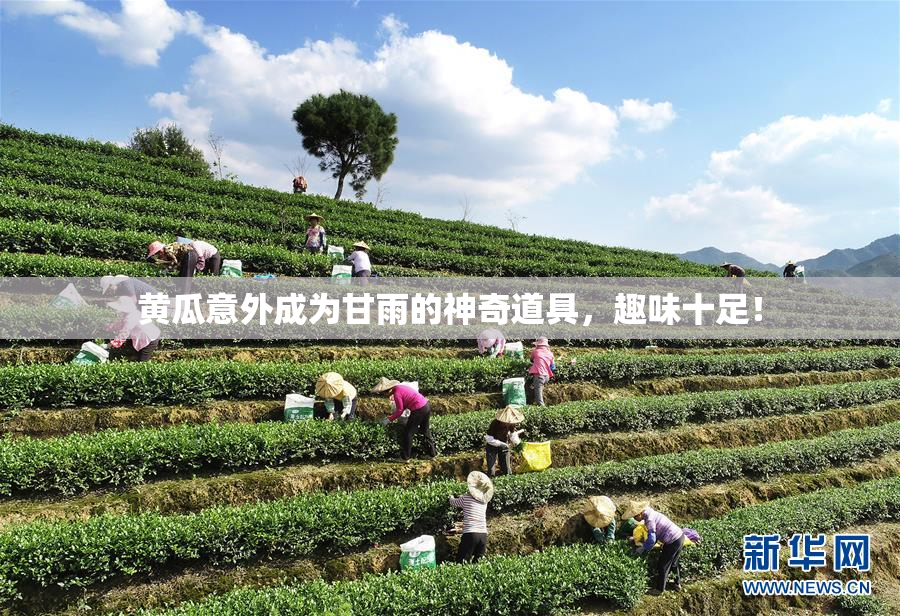 黄瓜意外成为甘雨的神奇道具，趣味十足！