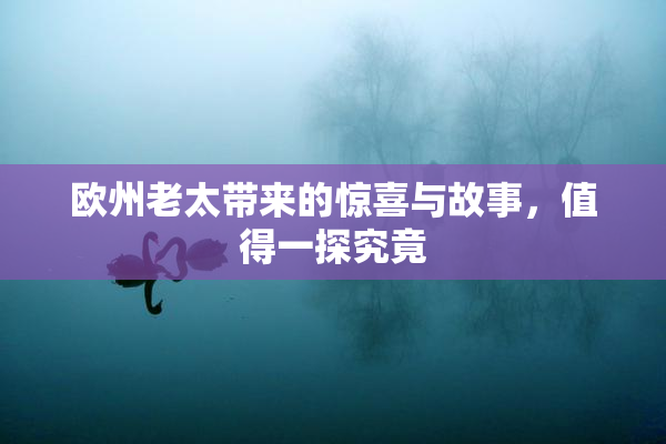 欧州老太带来的惊喜与故事，值得一探究竟