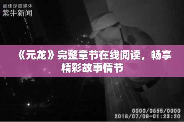 《元龙》完整章节在线阅读，畅享精彩故事情节