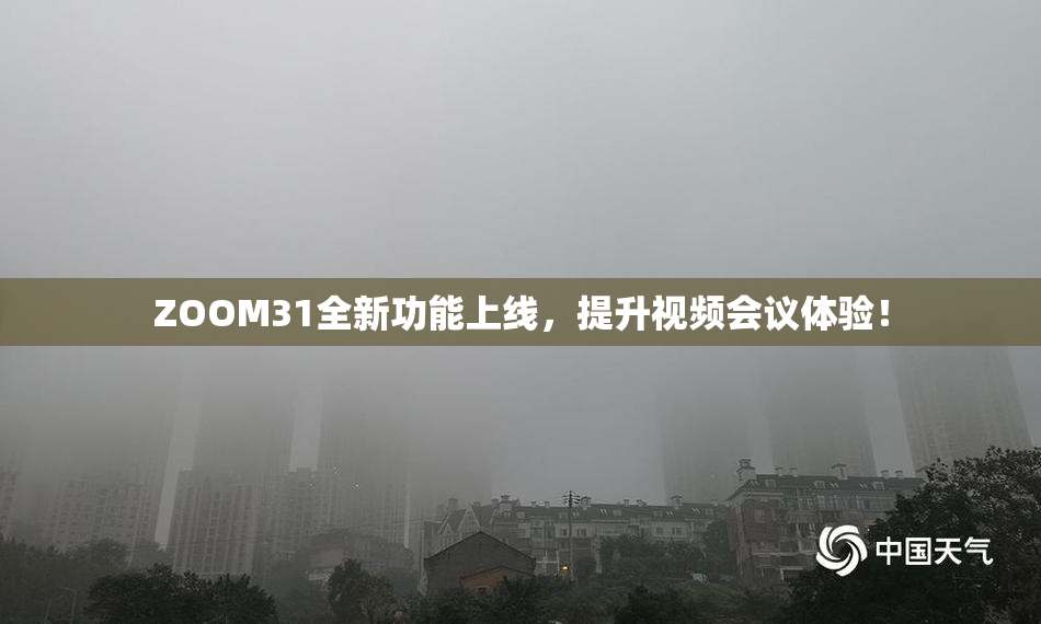 ZOOM31全新功能上线，提升视频会议体验！