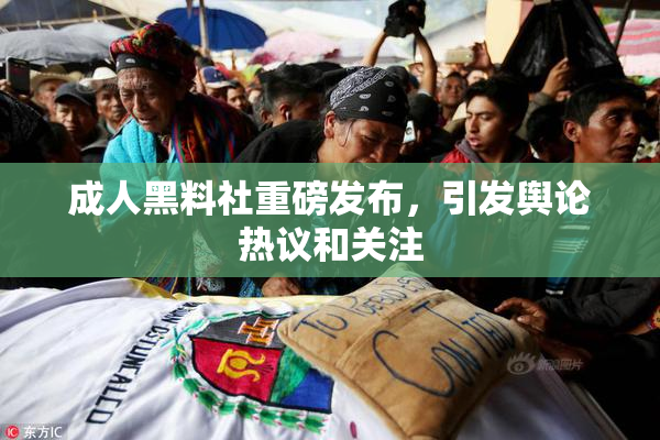 成人黑料社重磅发布，引发舆论热议和关注