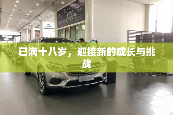已满十八岁，迎接新的成长与挑战