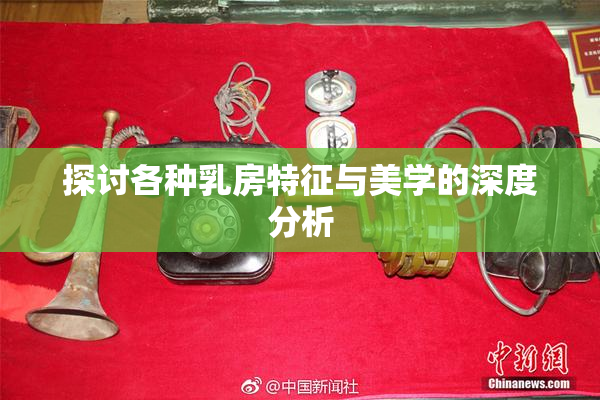 探讨各种乳房特征与美学的深度分析