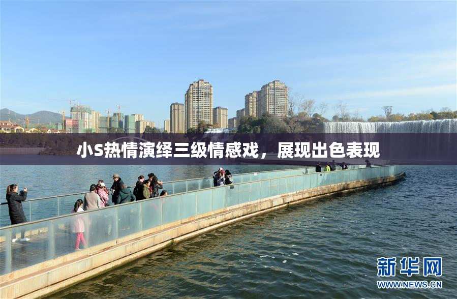 小S热情演绎三级情感戏，展现出色表现