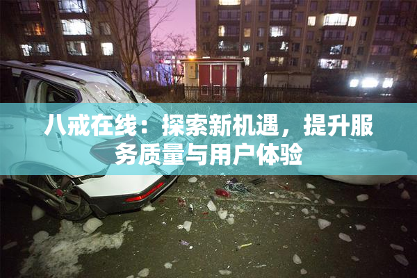 八戒在线：探索新机遇，提升服务质量与用户体验