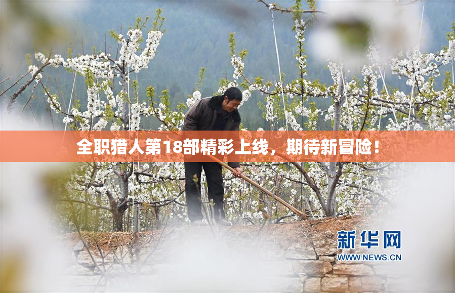 全职猎人第18部精彩上线，期待新冒险！