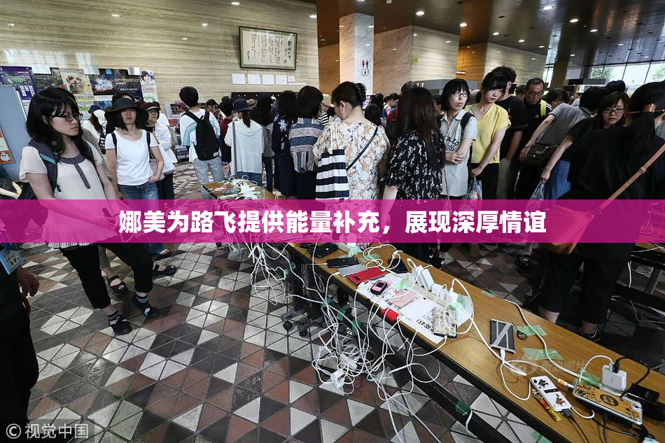 娜美为路飞提供能量补充，展现深厚情谊