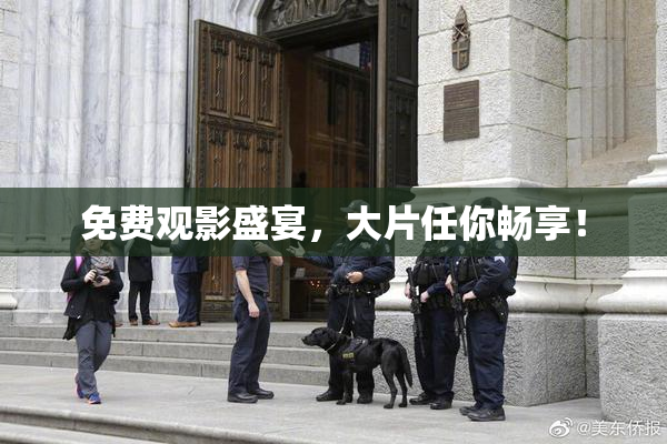 免费观影盛宴，大片任你畅享！