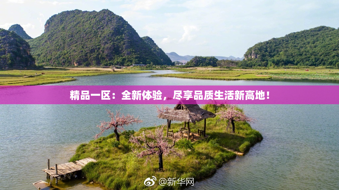 精品一区：全新体验，尽享品质生活新高地！
