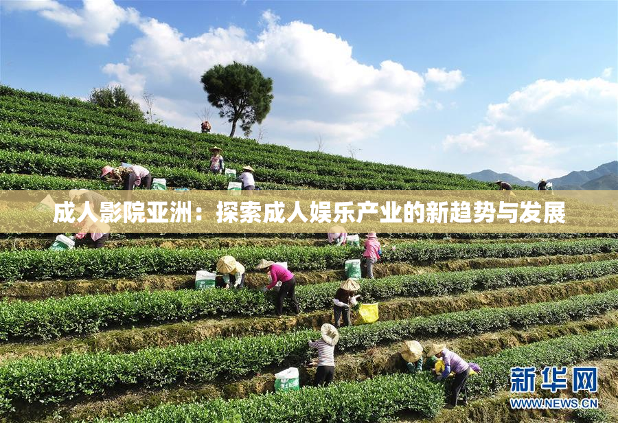 成人影院亚洲：探索成人娱乐产业的新趋势与发展