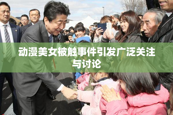 动漫美女被触事件引发广泛关注与讨论