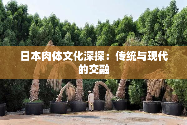 日本肉体文化深探：传统与现代的交融