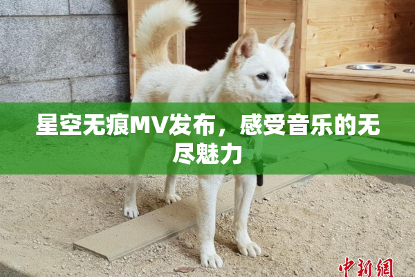 星空无痕MV发布，感受音乐的无尽魅力