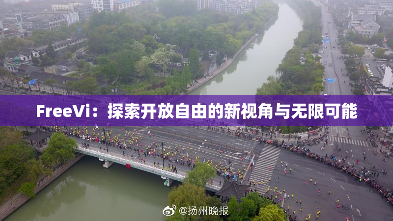 FreeVi：探索开放自由的新视角与无限可能