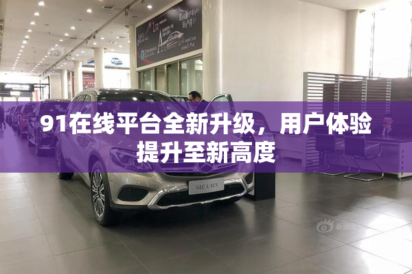 91在线平台全新升级，用户体验提升至新高度