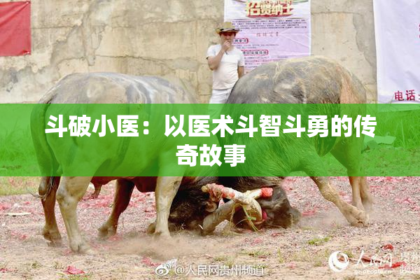 斗破小医：以医术斗智斗勇的传奇故事