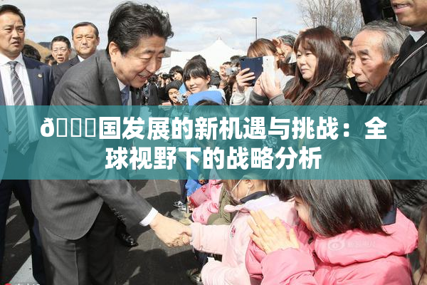 🔞国发展的新机遇与挑战：全球视野下的战略分析