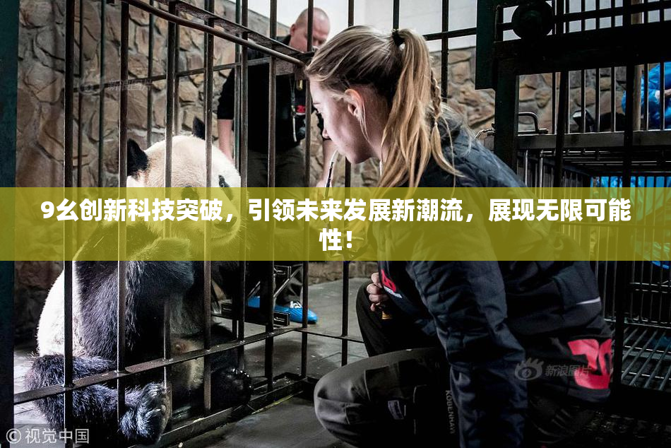 9幺创新科技突破，引领未来发展新潮流，展现无限可能性！