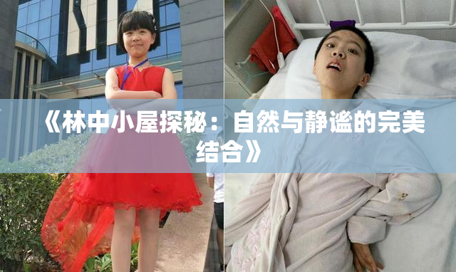 《林中小屋探秘：自然与静谧的完美结合》