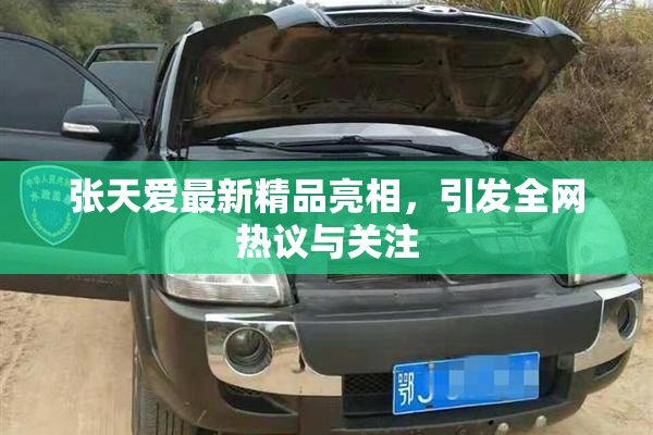 张天爱最新精品亮相，引发全网热议与关注