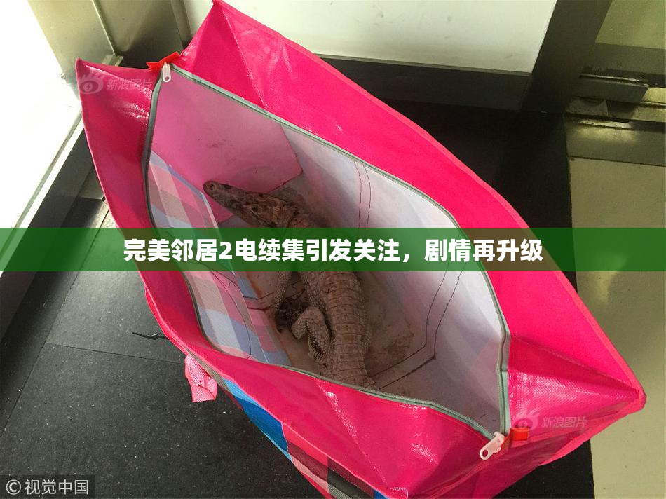 完美邻居2电续集引发关注，剧情再升级