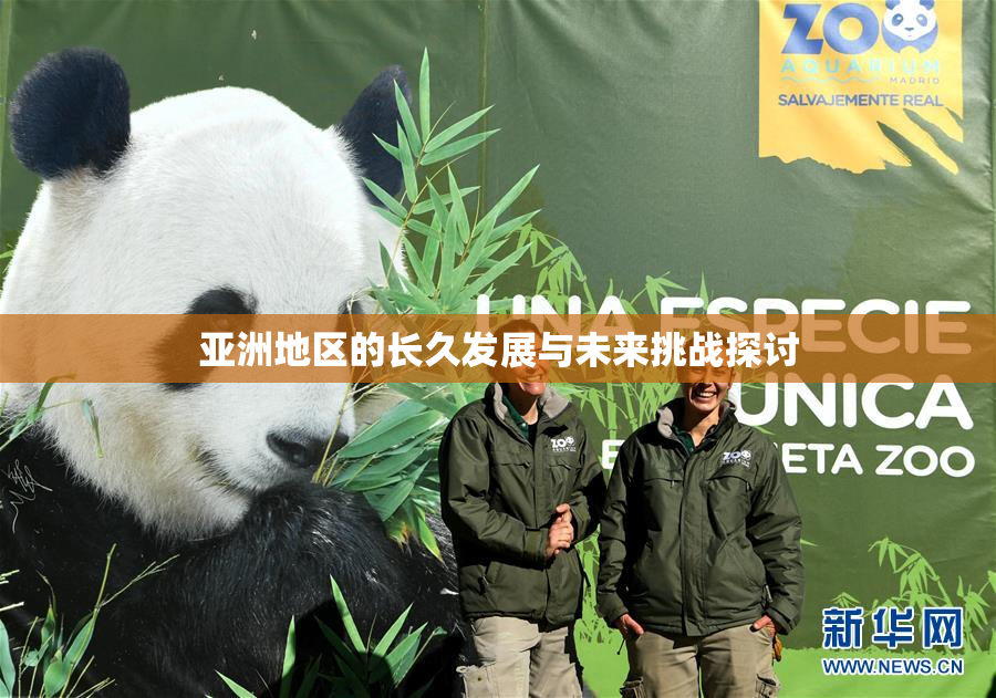 亚洲地区的长久发展与未来挑战探讨