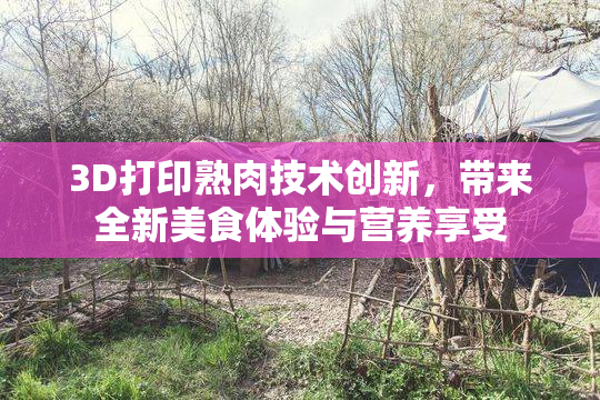 3D打印熟肉技术创新，带来全新美食体验与营养享受