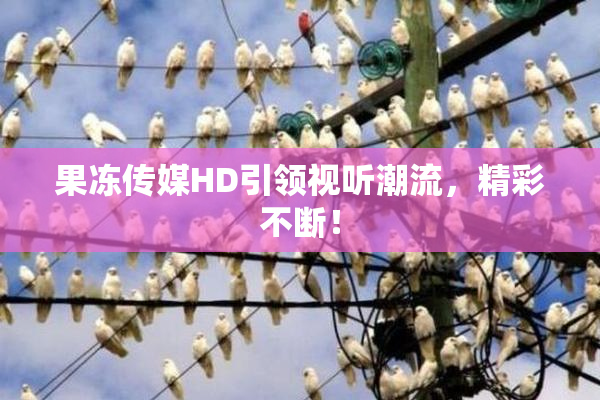 果冻传媒HD引领视听潮流，精彩不断！