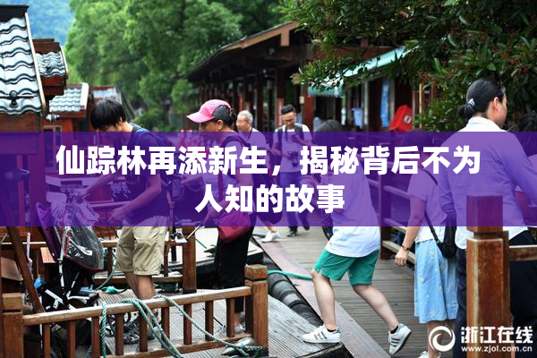 仙踪林再添新生，揭秘背后不为人知的故事