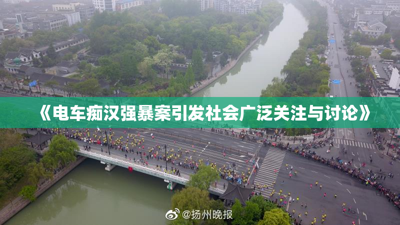 《电车痴汉强暴案引发社会广泛关注与讨论》