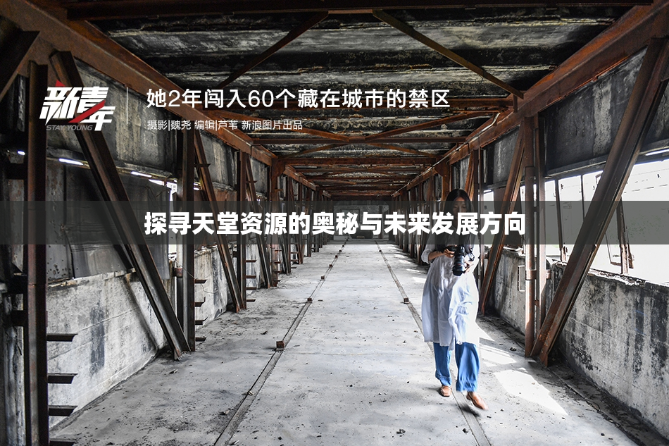 探寻天堂资源的奥秘与未来发展方向